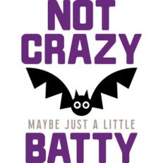 not crazy maybe just a little batty