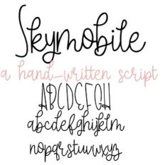 ZP Skymobile