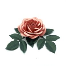 Rose Flower 01 with foliage 10