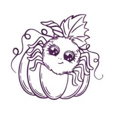 Spider on a pumpkin