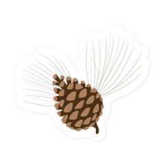 Pinecone and Twigs