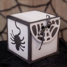 spider box