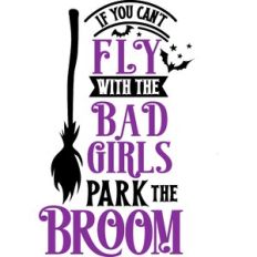 If Can't Fly Bad Girls Park Broom
