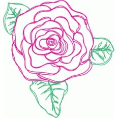 rose sketch