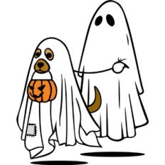 Walking the Ghost Dog