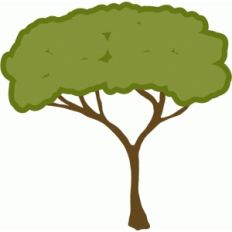 trees