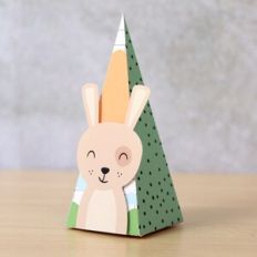 Rabbit Pyramid Box