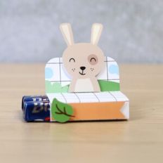 Rabbit 2 Chocolates Packaging