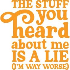 The stuff you heard about me is a lie