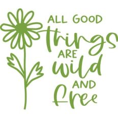 All good things are wild and free