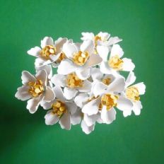 Sight Flower