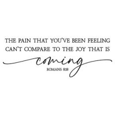 the pain that you've been feeling | scripture quote