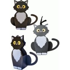 cat bag