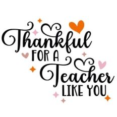 Thankful For A Teacher Like You Quote