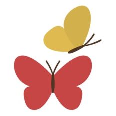 Butterflies