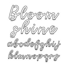 BFC Bloomshine Stencil Sketch Monoline Script Cursive Font