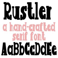 PN Rustler
