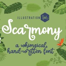 PN Scarmony Bold