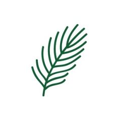 Green Tree Needle