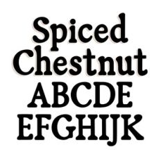 BFC Spiced Chestnut Modern Soft Serif Winter Classic Font