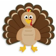 cute turkey