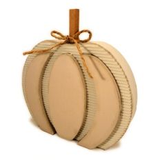 Pumpkin 3D Form Contours Med