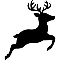 Reindeer