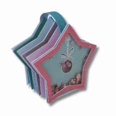 STAR MINI ALBUM