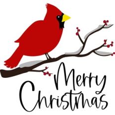 Merry Christmas Cardinal