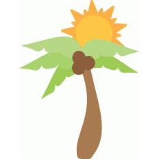 palm tree