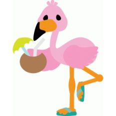 flamingo with tropical drink