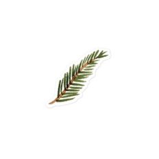 Fir Branch