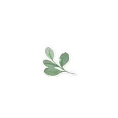 Green Leaves