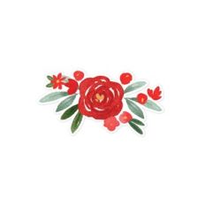 Red Christmas Flower