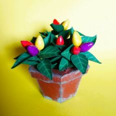Pepper Ornamental Floribela