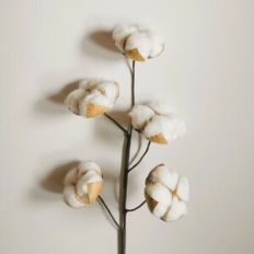 4 Petal Cotton Flower