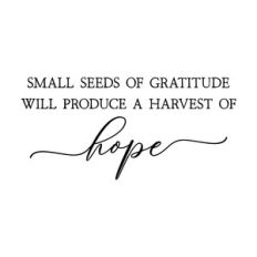 small seeds of gratitude will produce a harvest of hope