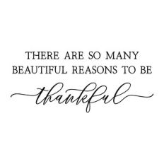 there are so many beautiful reasons to be thankful