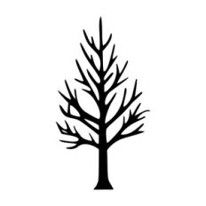 Bald tree