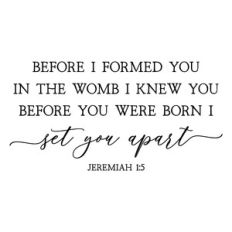 before i formed you in the womb i knew you | scripture quote