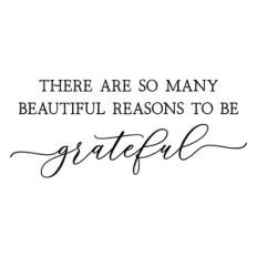 there are so many beautiful reasons to be grateful