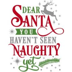 Dear Santa You Haven't Seen Naughty Yet
