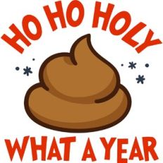 Ho Ho holy crap what a year