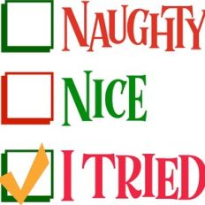 Naughty or Nice? I tried