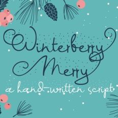 PN Winterberry Merry