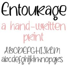 ZP Entourage