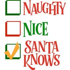 Naughty or Nice? Santa Knows