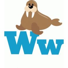 w is for walrus
