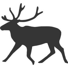 Christmas Reindeer