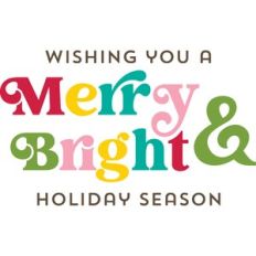 wishing you a merry and bright holiday season